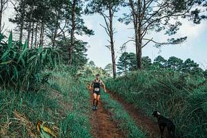 BIB: 
                            <button type="button" onclick="openModal(25653328)" class="btn btn-primary btn-sm float-right btn-popup" data-toggle="modal" data-target=".modal-high-quality">
                        <i class="fas fa-shopping-cart"></i> Add to Cart
                    </button>
                                            <button type="button" onclick="isThisMe(25653328, true)" class="btn btn-success btn-sm float-right btn-popup btn-isme hidden" data-toggle="tooltip" data-placement="bottom" title="นี่คือรูปของคุณใช่ไหม คลิกที่นี่เพื่อเอาเข้าอัลบั้ม">
                        <i class="fas fa-plus"></i> Add to album
                    </button>
                    <button type="button" onclick="isThisMe(25653328, false)" class="btn btn-warning btn-sm float-right btn-popup btn-isnotme hidden">
                        <i class="fas fa-ban"></i> Remove from album
                    </button>